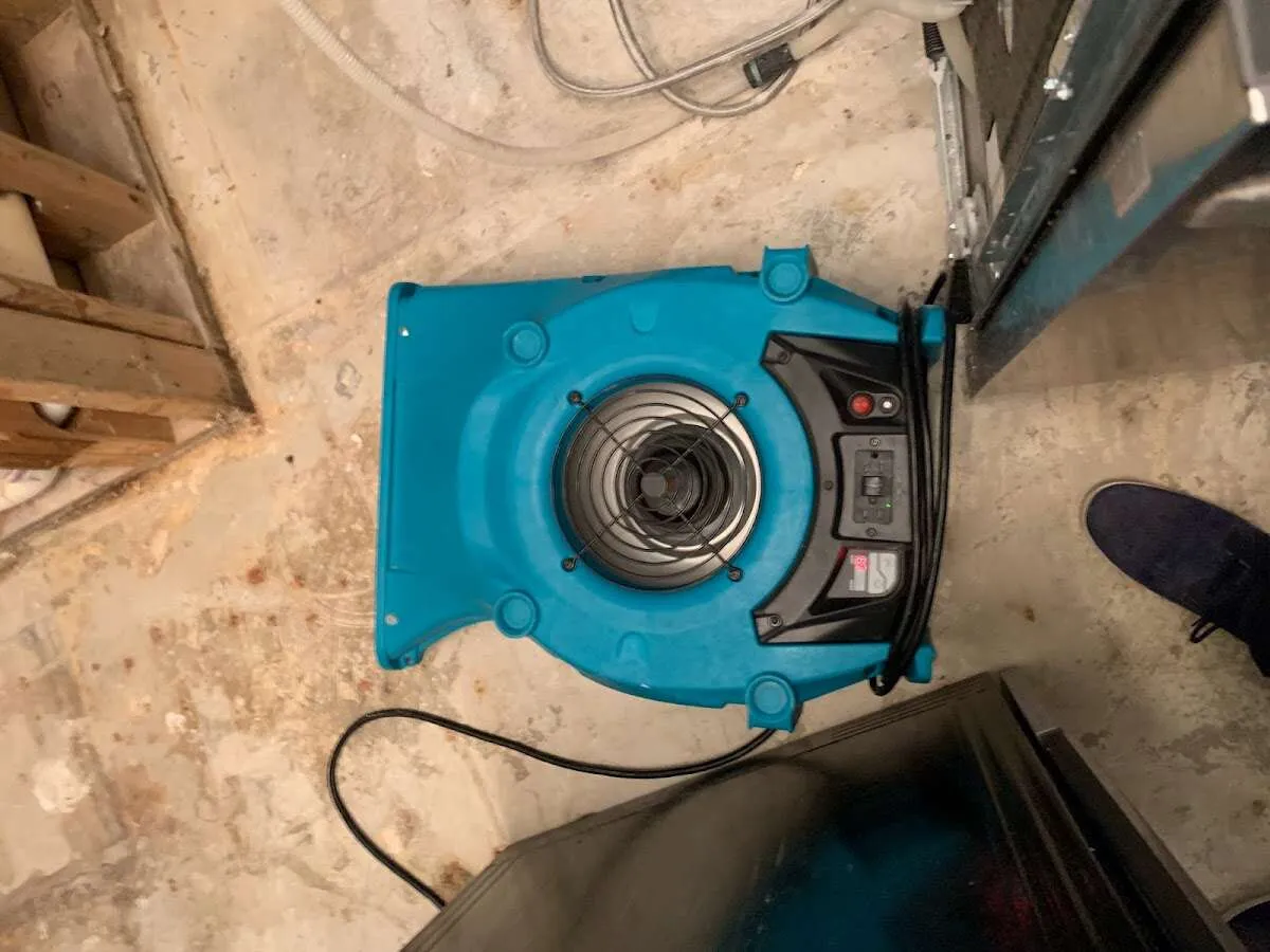 Air mover drying equipment for Mold Remediation & Removal in Linwood