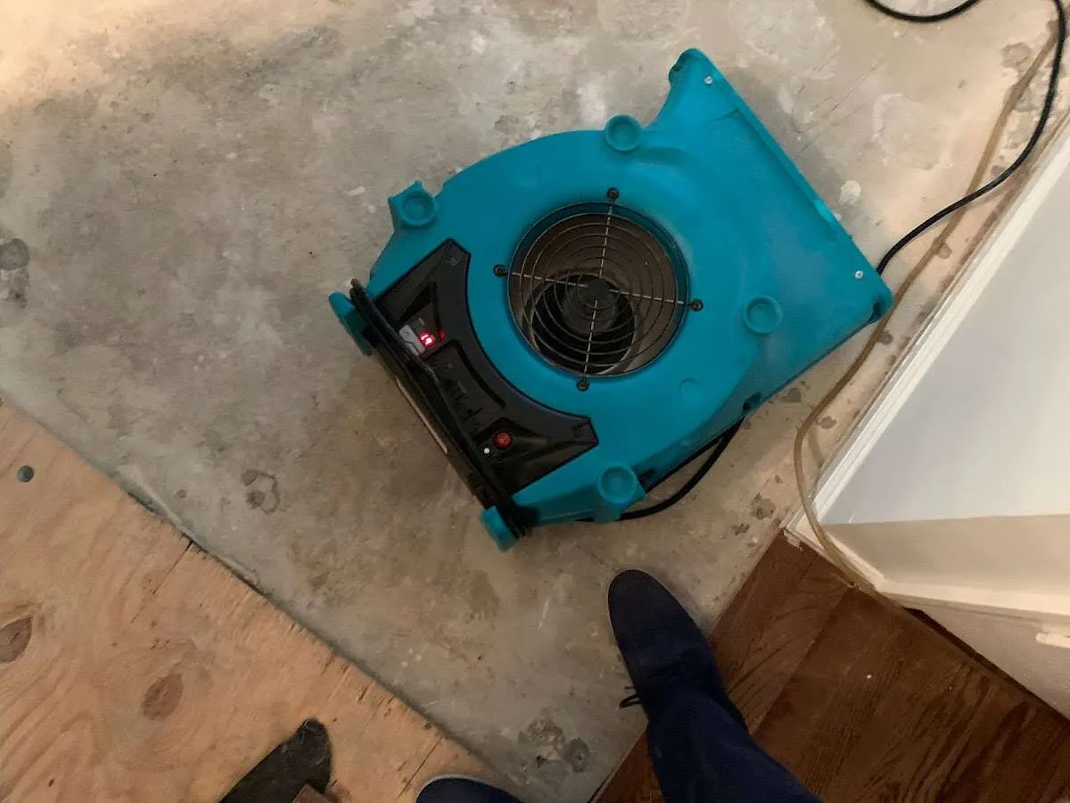 Air mover drying subfloor during Leak Detection & Repair in Linwood